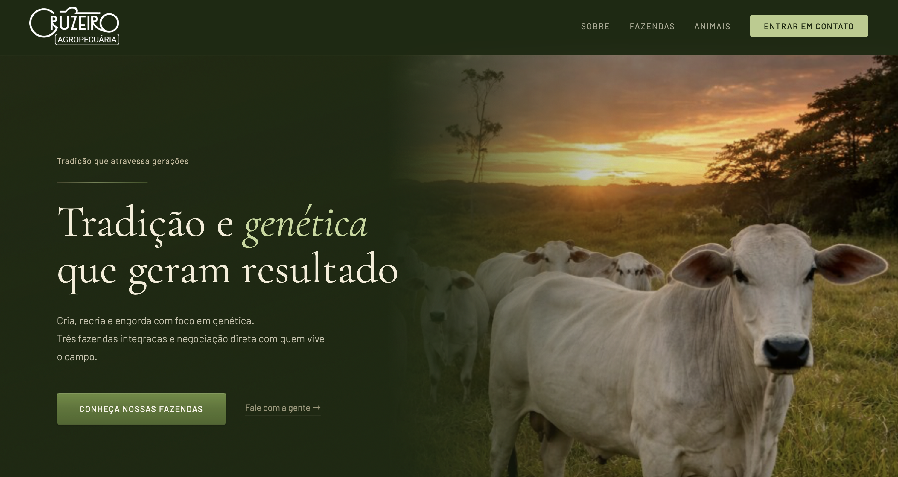 Cruzeiro Agropecuária — Destaque do site