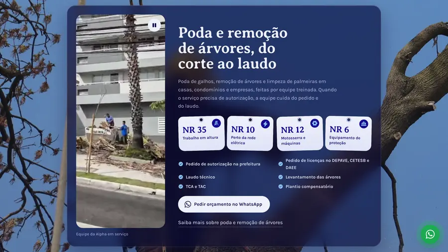 Alpha Soluções: Poda e remoção de árvores, do corte ao laudo